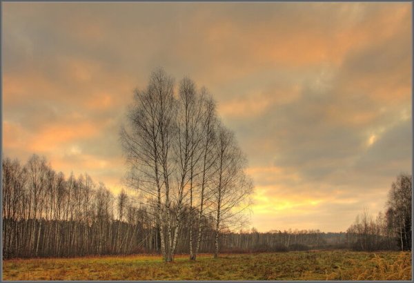 Хмурая осень