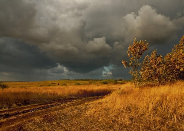 Пасмурное небо