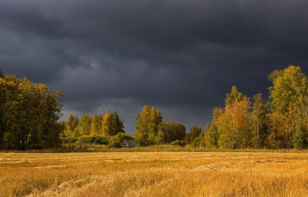 Пасмурная осень