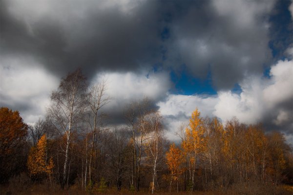 Хмурая осень