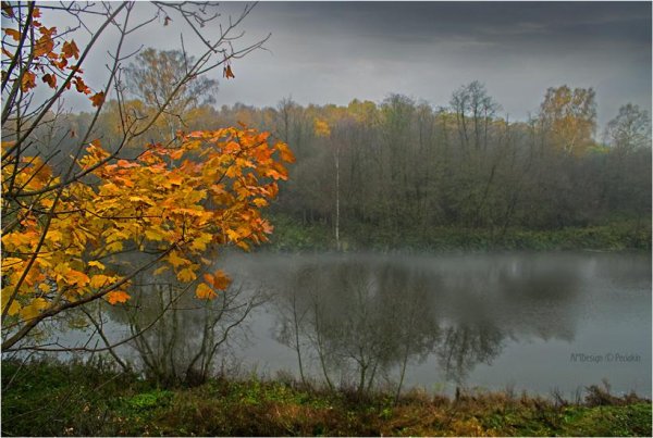 Пасмурный осенний день