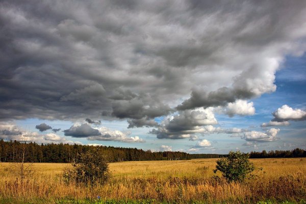 Пасмурное небо осень