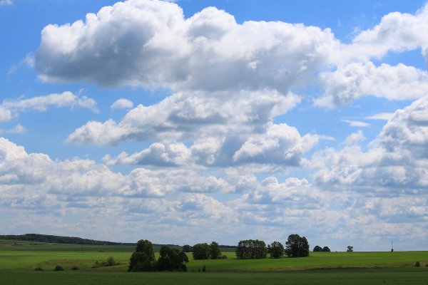 Небо в барашках