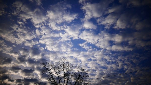 Макрелевое небо