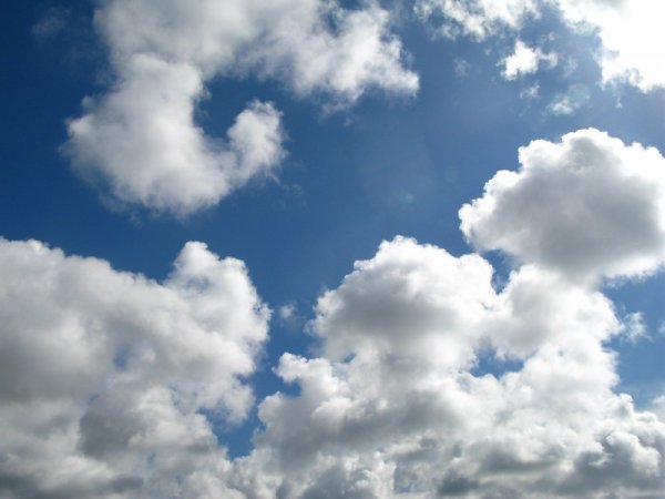 Облако в форме овечки