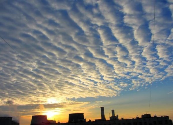 Небо в барашках