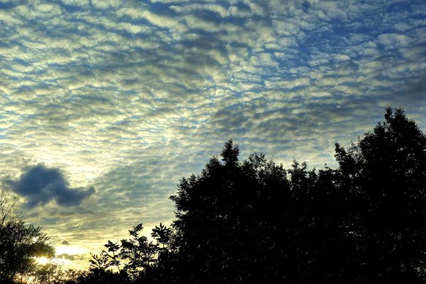 Облака барашки