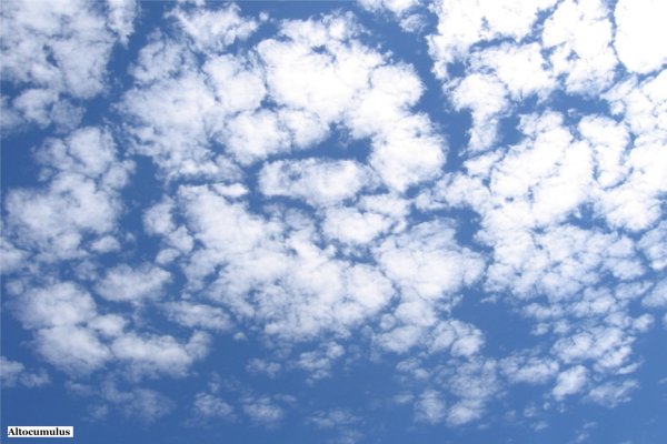 Небесные барашки