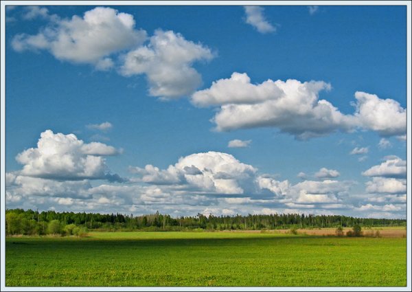 Барашковые облака