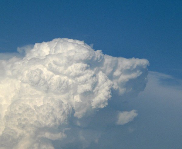 Облака в форме животных