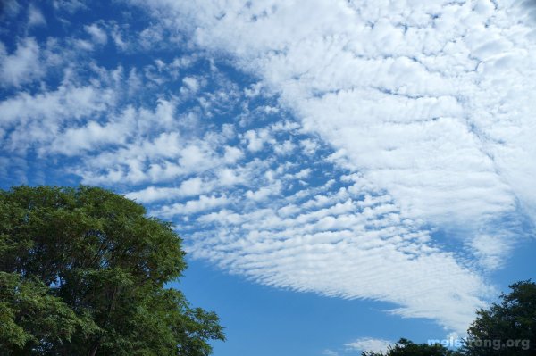 Облака Кучевые перистые Слоистые