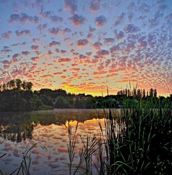 Небесные барашки