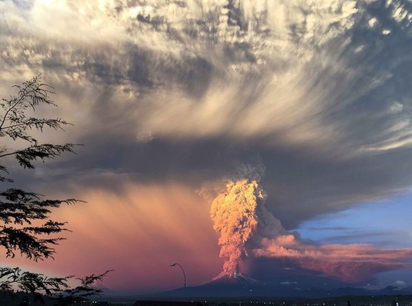 Извержение лава вулкан Сакура дерево