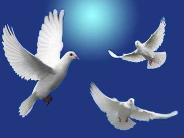 Небо с 3 голубями