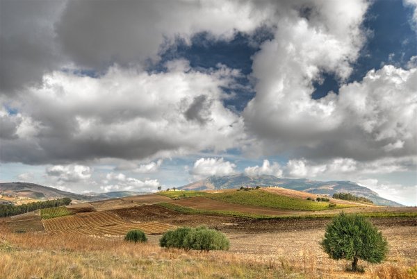 Салар де юни: самый крупный солончак