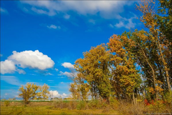 Лазурное небо осенью