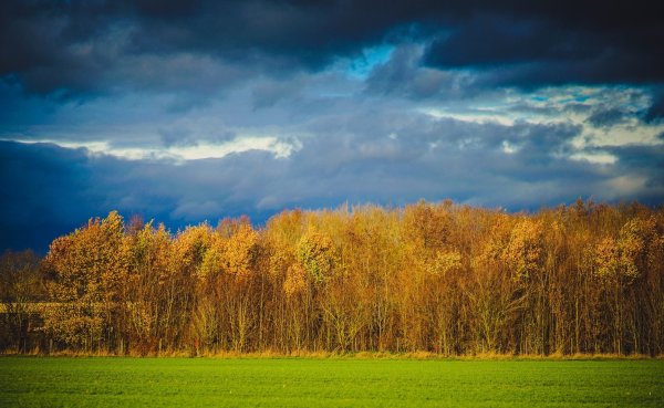 Голубое осеннее небо