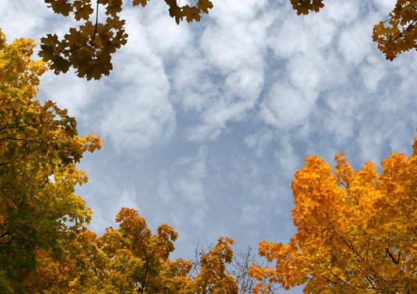 Безоблачное небо осенью