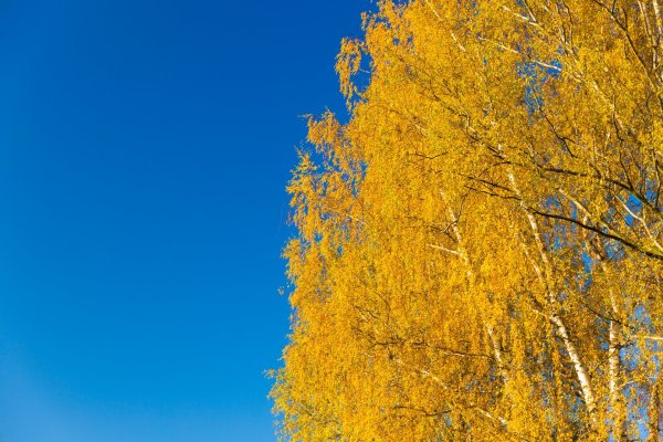 Осеннее небо