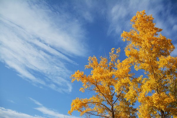 Серое осеннее небо