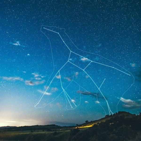 Звездное Созвездие большая Медведица