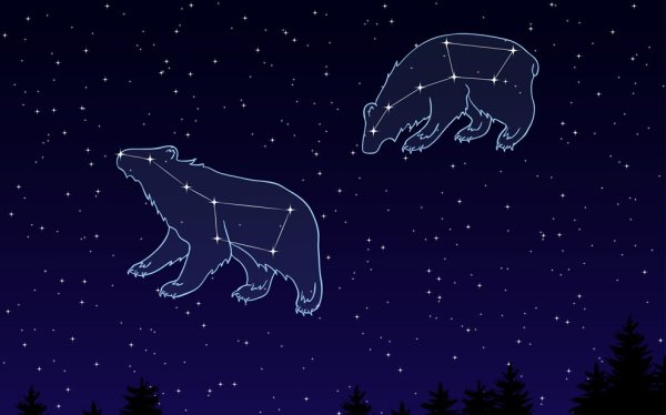 Ursa Minor Созвездие
