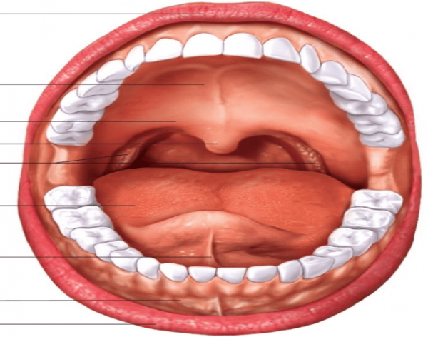 Лицо ребенка с аденоидами
