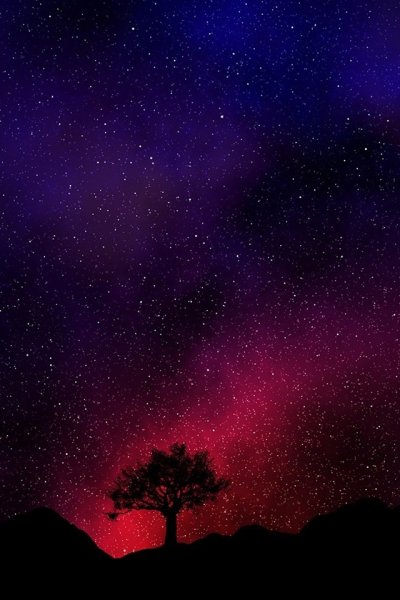 Дерево на фоне звездного неба