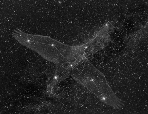 Денеб звезда в созвездии лебедя