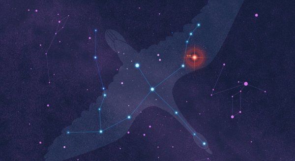 Kic 9832227 звезда