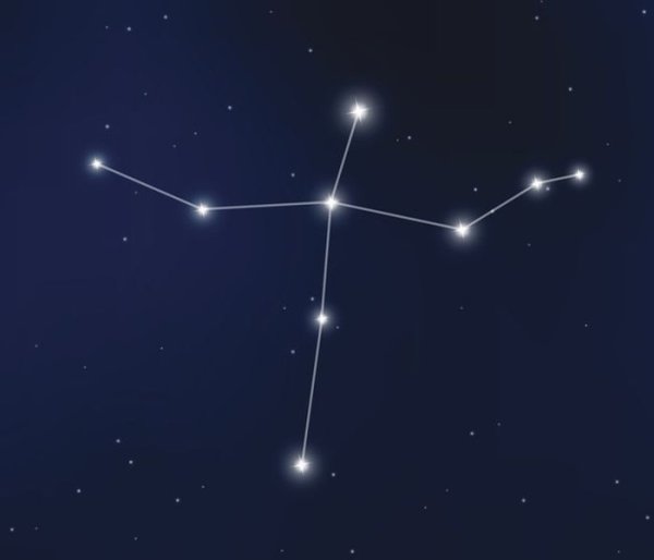 Созвездие лебедь для детей