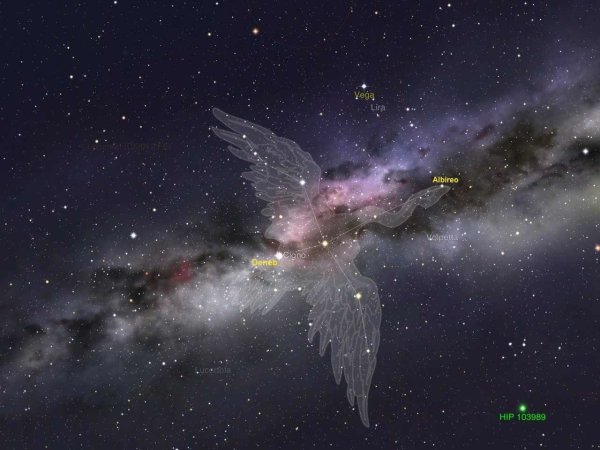 Денеб звезда в созвездии лебедя