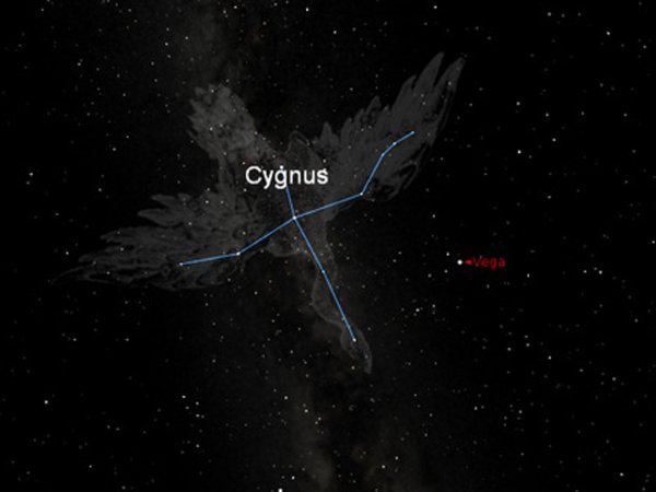 Созвездия лебедя Кеплер