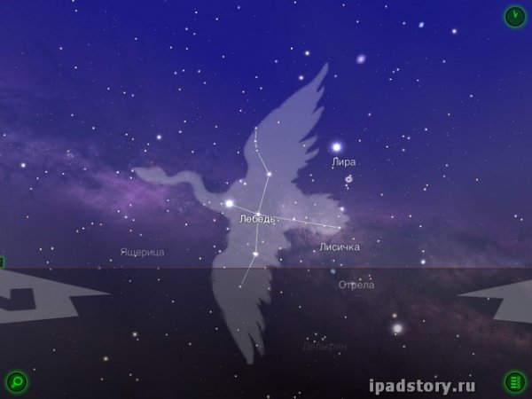 Созвездие лебедь на Звездном небе