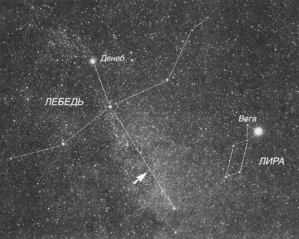Созвездие лебедь самая яркая звезда