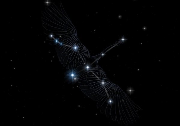 Созвездие лебедь