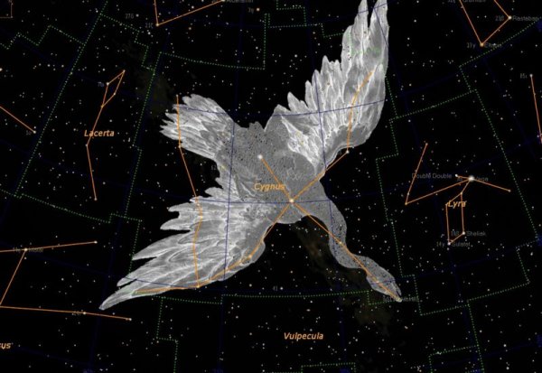 Созвездие лебедь