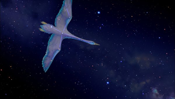 Астеризм созвездия лебедь