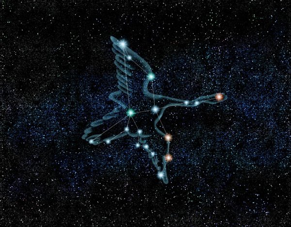 Созвездие лебедь