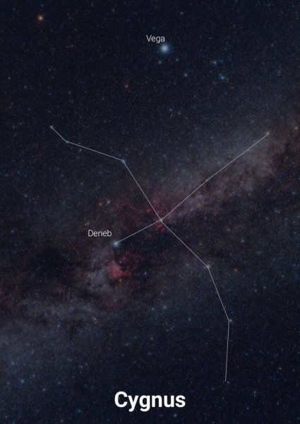 Созвездие лебедь на карте звездного