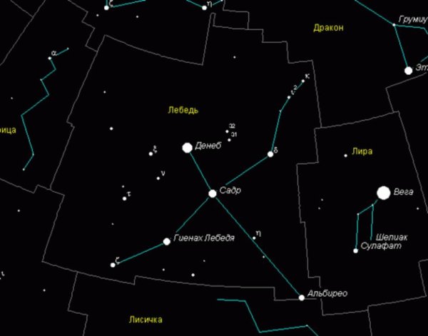 Созвездие лебедь с названиями звезд
