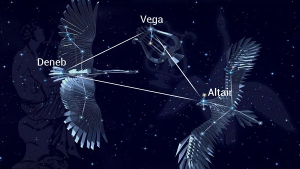 Астеризм созвездия лебедь