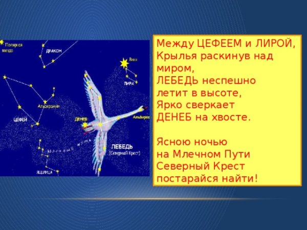 Созвездие лебедь