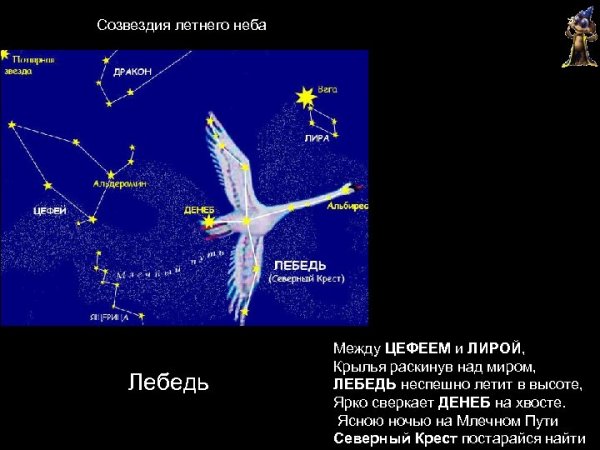 Созвездие лебедь Денеб