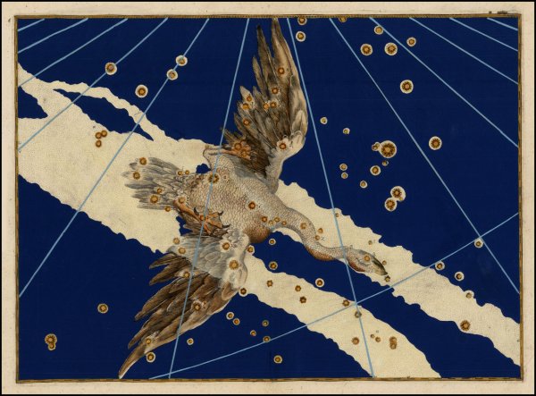 Созвездие лебедь Денеб