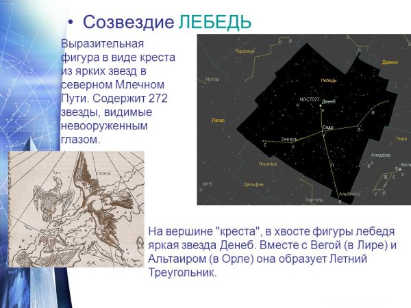 Созвездие лебедь