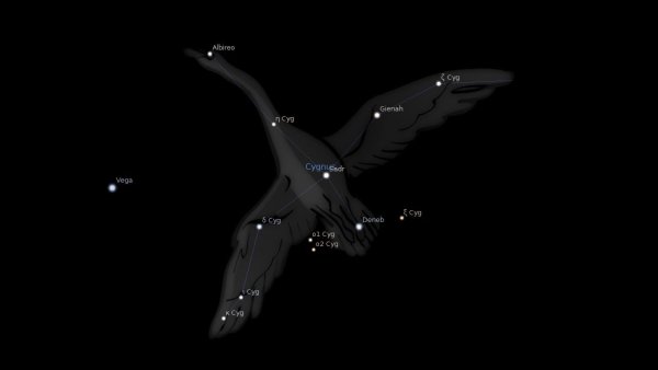 Созвездие лебедь Легенда