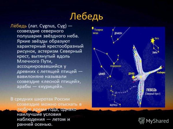 Как выглядит Созвездие лебедь