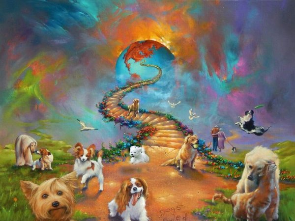 Душа собаки