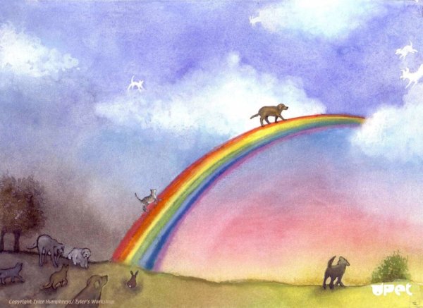 Собачий рай